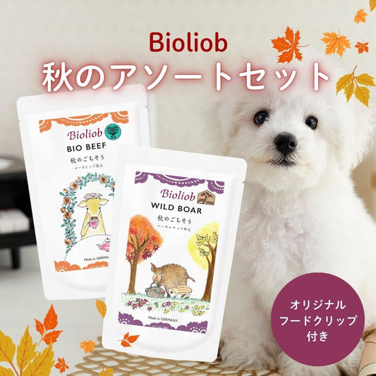 【数量限定】 ビオリオーブ 秋のアソートセット