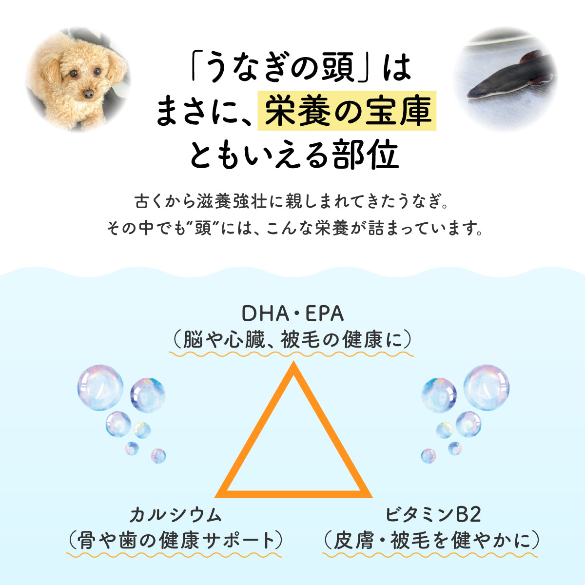 うなぎのかぶとパリポリ