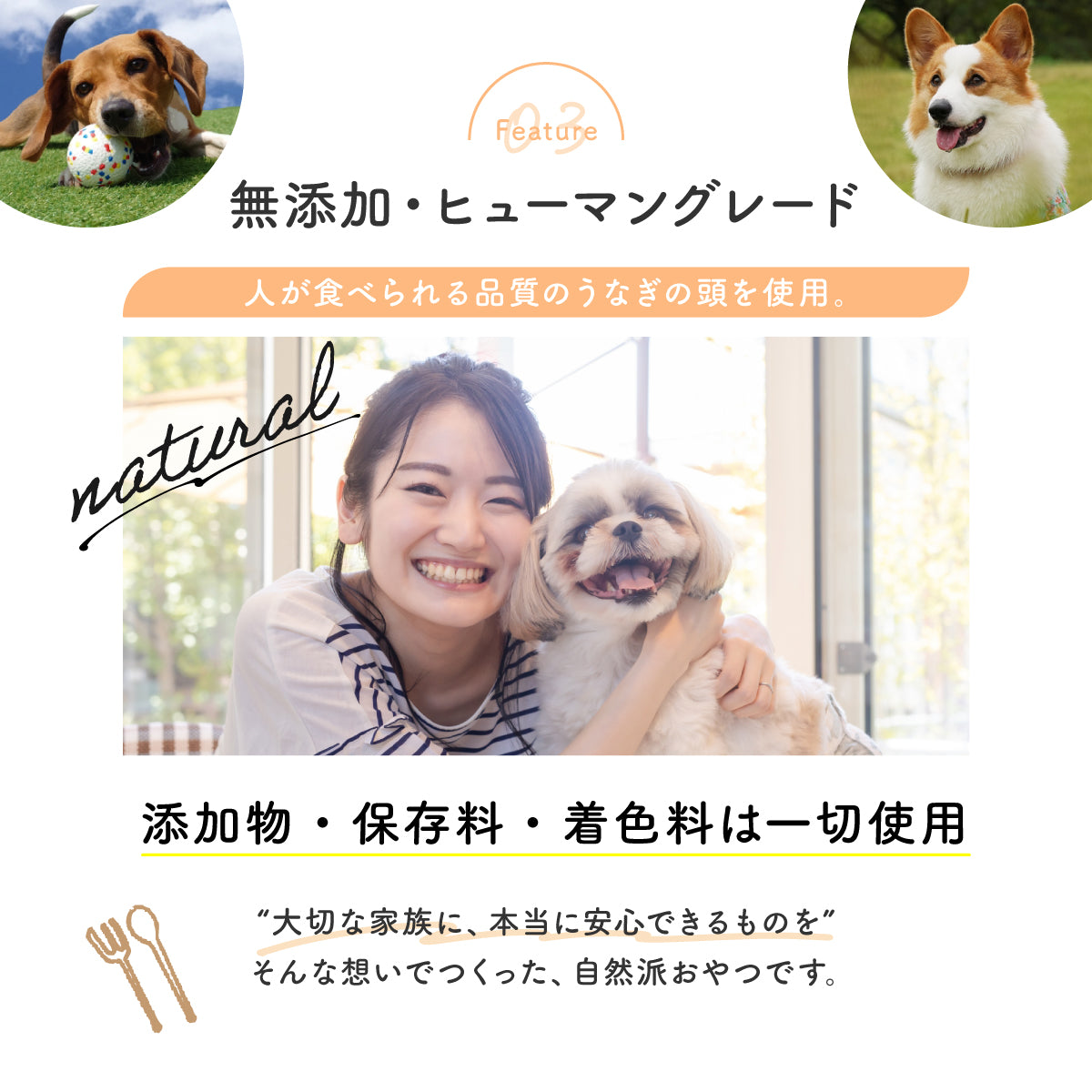 うなぎのかぶとパリポリ