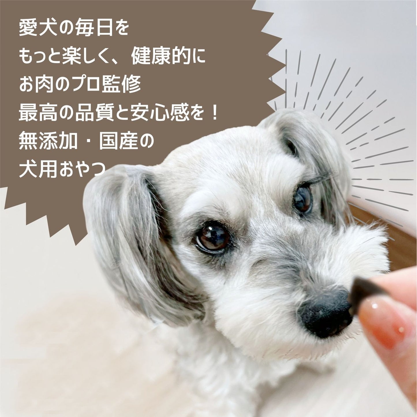 粗びきささみ 40g|国産無添加の高たんぱく犬用おやつ