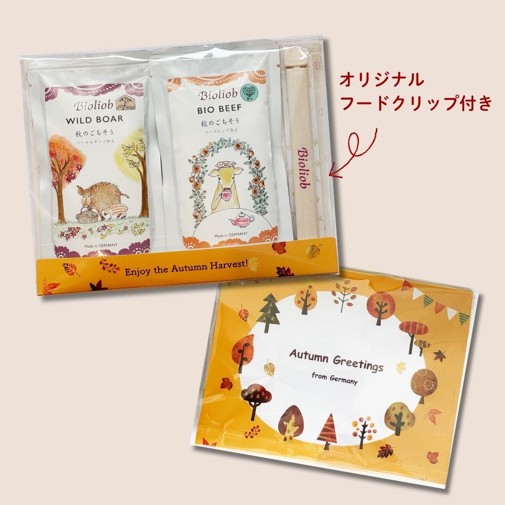 【数量限定】 ビオリオーブ 秋のアソートセット
