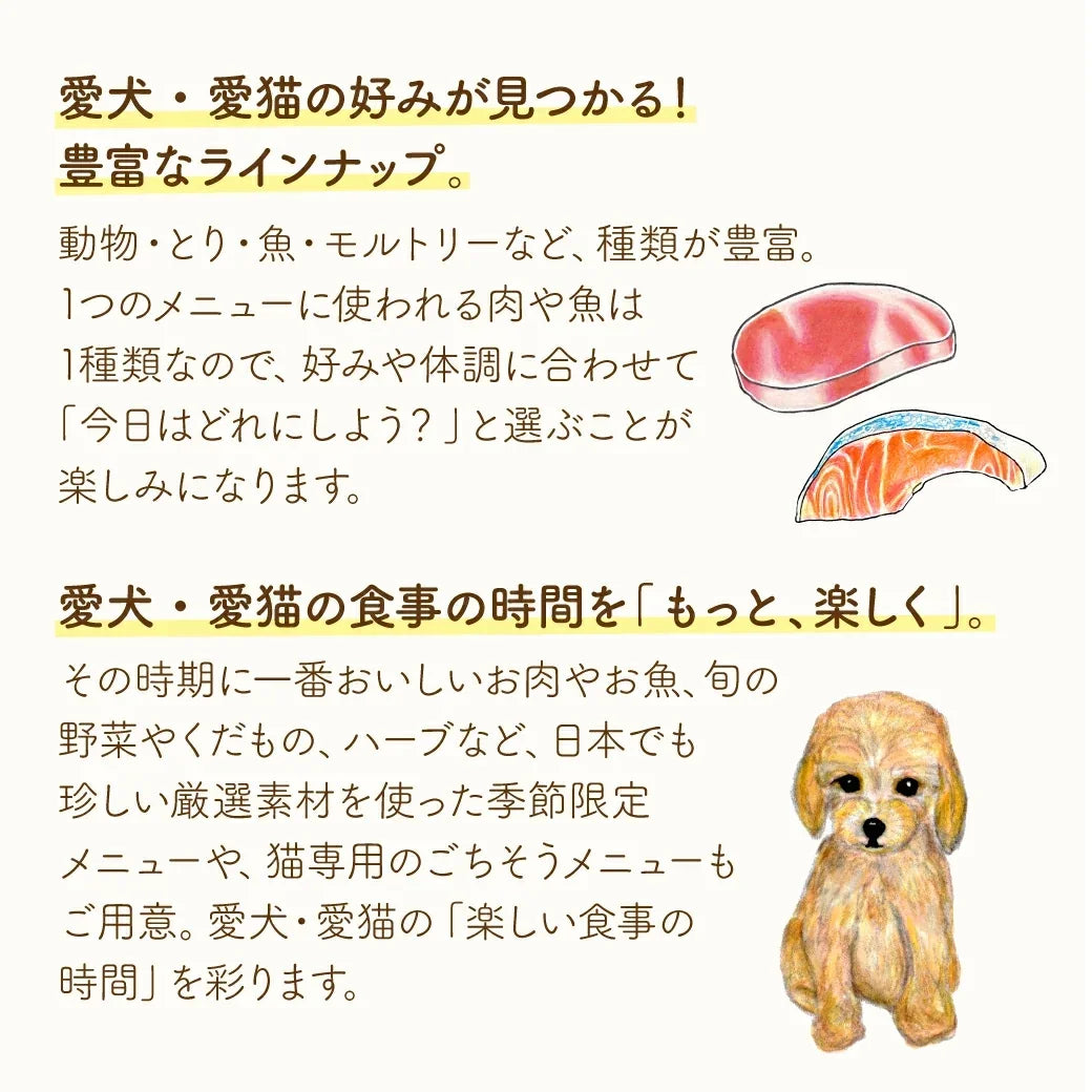 犬猫用フードの豊富なラインナップを説明するテキストと、肉・魚のイラスト、可愛いトイプードルのイラスト