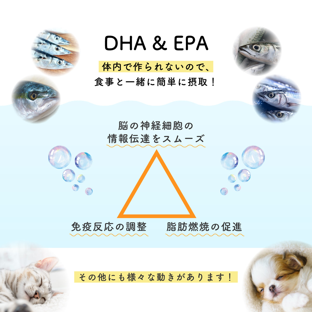 【無添加】海の恵みのお魚ふりかけ 50g|犬のトッピングに