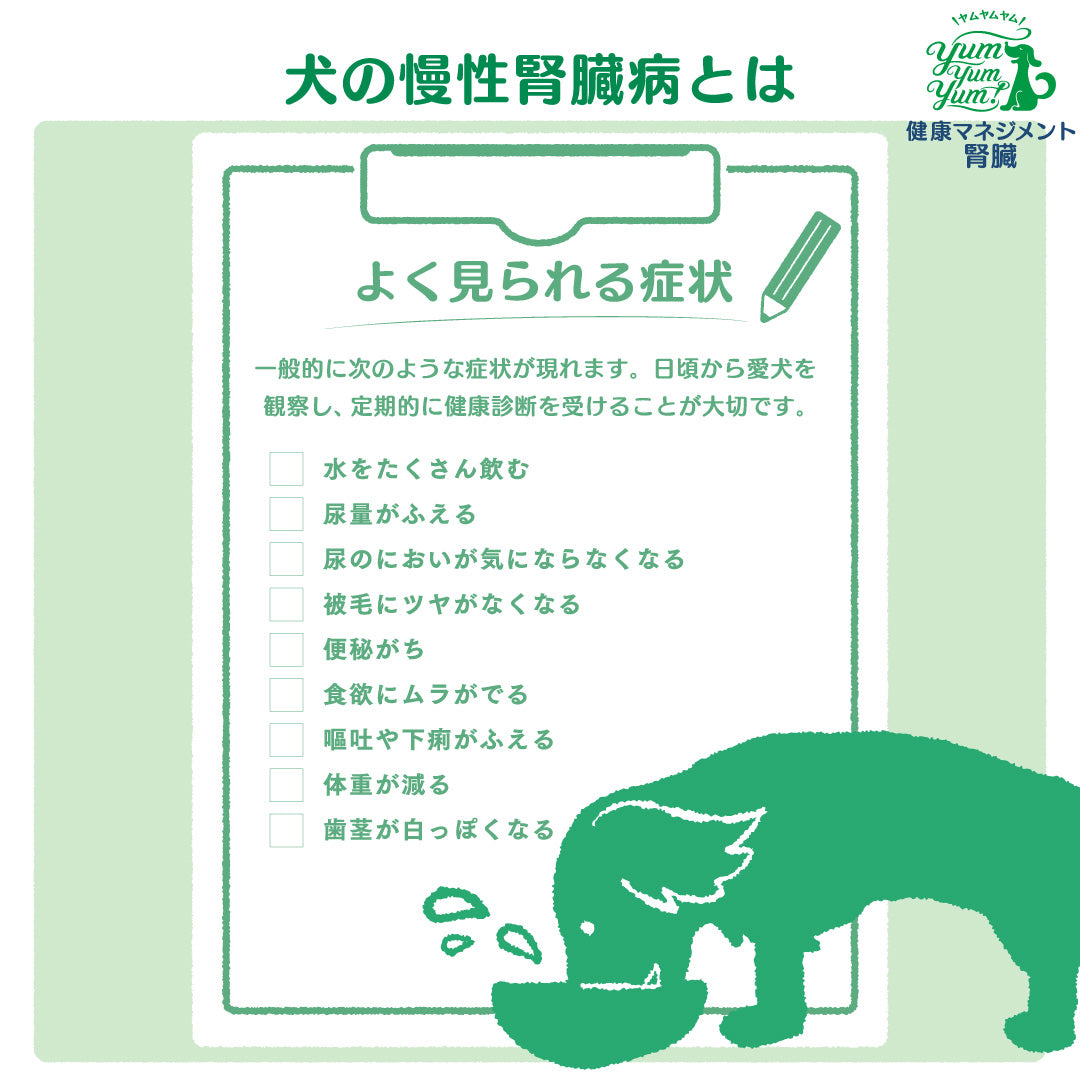 yum yum yum!健康マネジメント腎臓 1.3kg