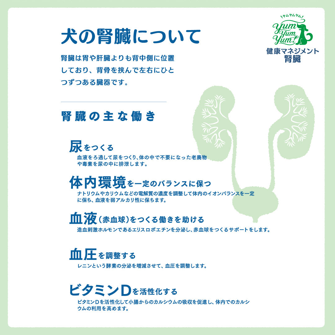 yum yum yum!健康マネジメント腎臓 1.3kg