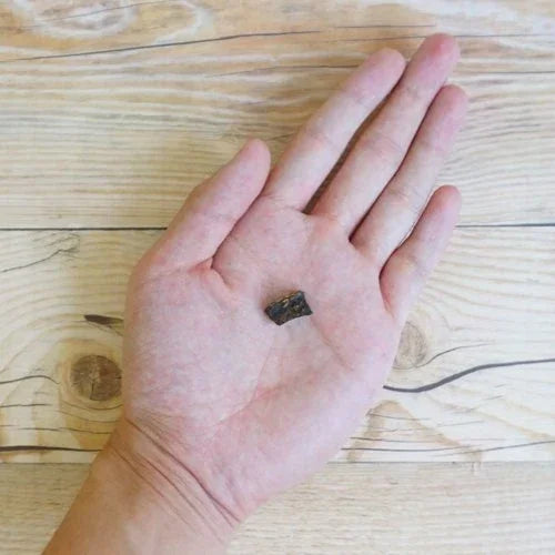 手のひらに乗せた小さく茶色い犬猫用のおやつのクローズアップ