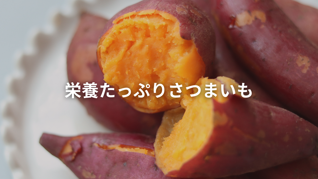 愛犬に安心安全な国産・無添加さつまいも おやつを選ぼう！