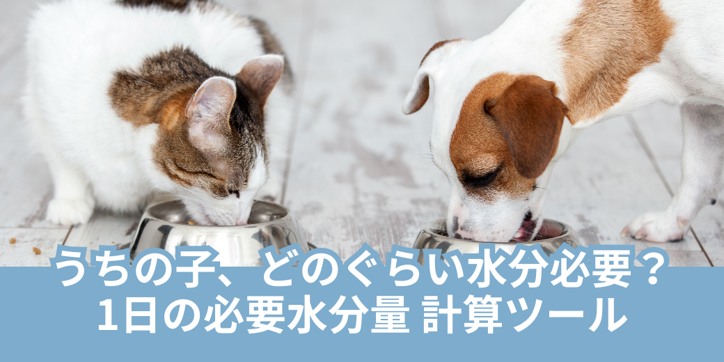 うちの子の１日必要水分量はどのぐらい？