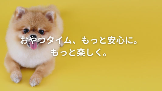 黄色い背景に舌を出して微笑むポメラニアンの犬と、「おやつタイム、もっと安心に。もっと楽しく。」という文字