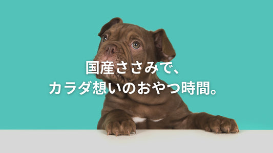 水色の背景に、上目遣いでこちらを見つめる茶色のパピー犬と、「国産ささみで、カラダ想いのおやつ時間。」というテキスト