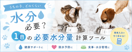 うちの子の１日必要水分量はどのぐらい？