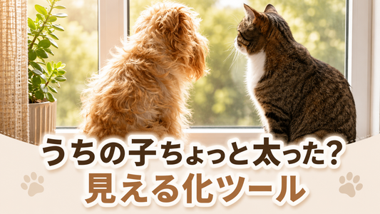 うちの子の体型を簡単にチェック♪