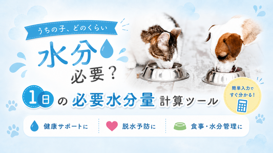 犬と猫が食事をする様子と、1日の必要水分量を計算できるツールの案内画像