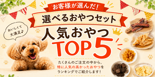選べるおやつセット 人気TOP5｜お客様が選んだ犬用おやつランキング