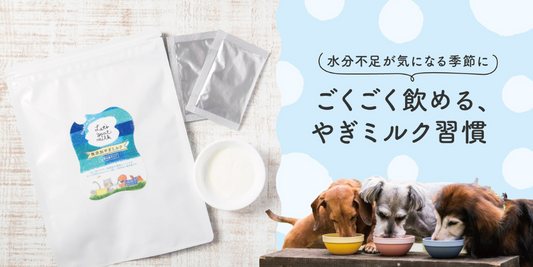 犬用のヤギミルクパウダーのパッケージと、ボウルからミルクを飲む3匹の犬の様子
