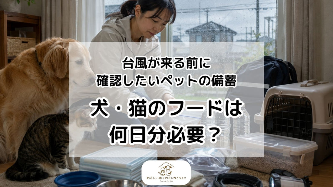 台風が来る前に確認したいペットの備蓄｜犬・猫のフードは何日分必要？