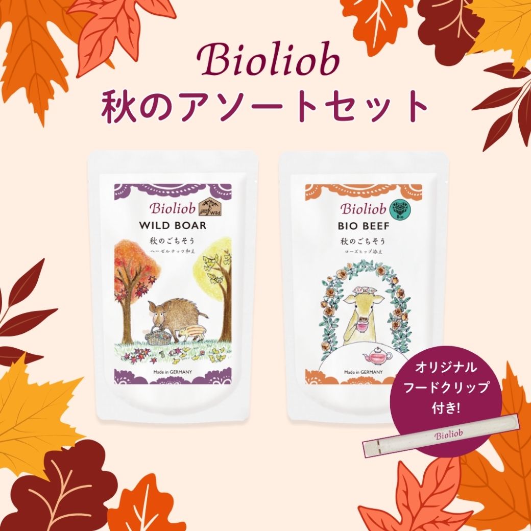 【数量限定】 ビオリオーブ 秋のアソートセット