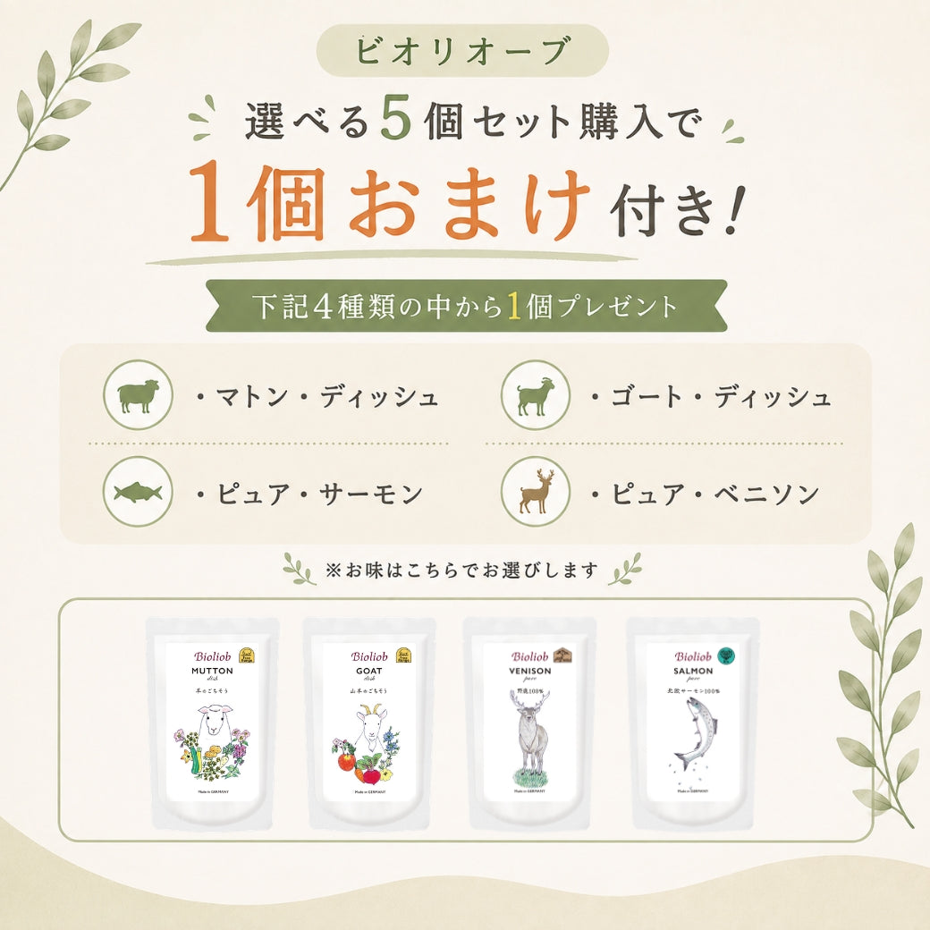 ビオリオーブ　選べるトッピング５種セット