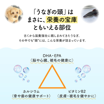 うなぎのかぶとパリポリ