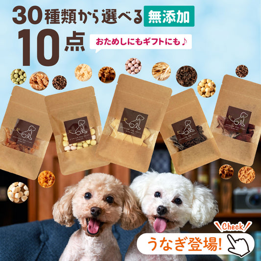 30種類から選べる無添加おやつ10個セット