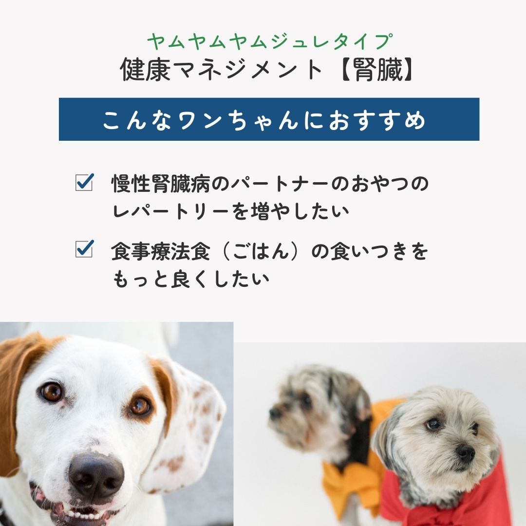 ヤムヤムヤム ジュレタイプ 健康マネジメント 腎臓