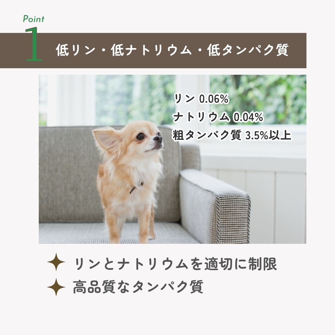 ヤムヤムヤム ジュレタイプ 健康マネジメント 腎臓