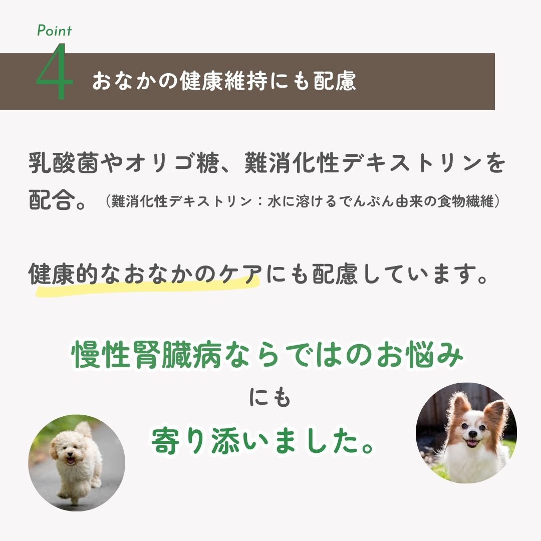 ヤムヤムヤム ジュレタイプ 健康マネジメント 腎臓
