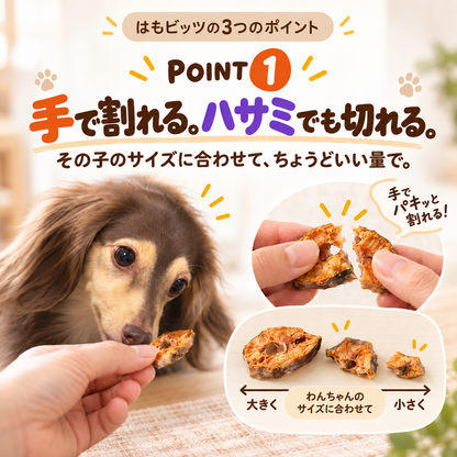 ハロウィン限定 ハモビッツ 15g 犬用鱧おやつ