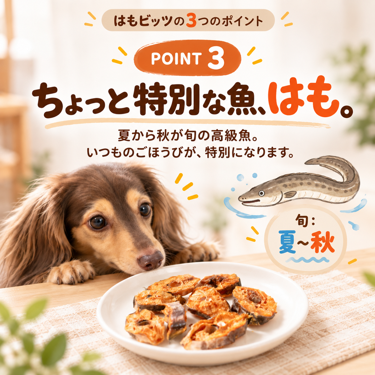 ハロウィン限定 ハモビッツ 15g 犬用鱧おやつ