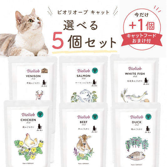 ビオリオーブ キャット ディッシュ 選べる５個セット 猫用