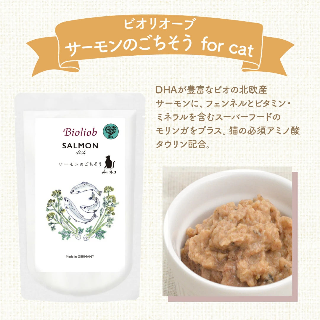 ビオリオーブ キャット サーモンのごちそう サーモン ディッシュ
