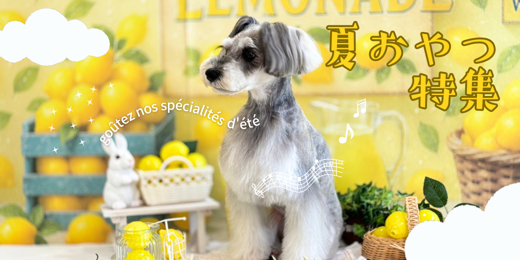 犬オヤツ