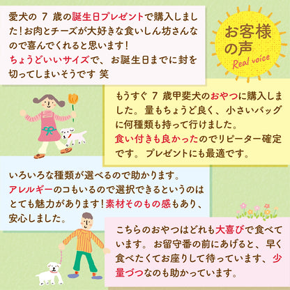 30種類から選べる無添加おやつ10個セット